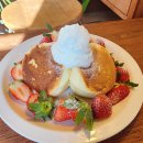 일상약국 이미지