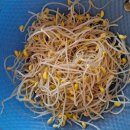 오징어콩나물국밥 이미지