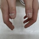 모미살롱