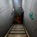 [대학로 연극_극단 괴물] 시리게 눈부신 청춘이 던지는 질문_우리는 지금 어디에 있을까? 연극 관람 후기