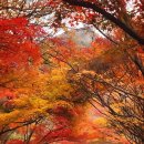 임은빵집 이미지