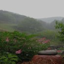 허튼소리 이미지