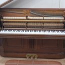 가온피아노음악학원 이미지