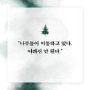 ＜지구의 마지막 숲을 걷다 : 수목한계선과 지구 생명의 미래＞ 벤 롤런스 저/노승영 역 | 엘리 | 2023 이미지