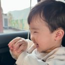 (주)도곡온천 황토참숯가마 | 두 돌 아기랑 가기 좋은 도곡 맛집 팔당 원조 칼제비