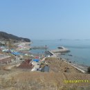 녹도항