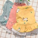 러블리 강아지 이미지