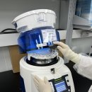 바이러스 이미지