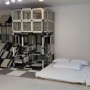 느리게걷기키즈가족펜션 이미지