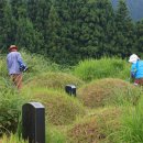 공설묘지 2 이미지