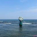 구룡포 일본인 가옥거리(동백꽃필무렵 촬영지), 창우물회, 호미곶, 네스트코퍼레이션, 스페이스워크