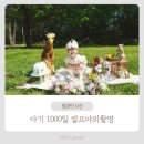 아비앙또아뜰리에라탄 | 아기 1000일 사진 셀프 촬영 후기, 야외에서 자연스럽게 남기기