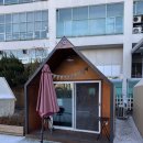 도시탈출 | [안양맛집 추천] 도심 속에서 캠핑 감성 즐기는 바비큐 맛집 도시탈출 후기