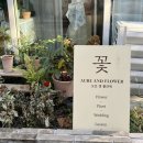 감각적인 은평구꽃집: 성공적인 오브앤플라워 꽃다발 후기