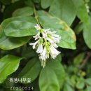 브엘라해로이 이미지