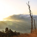 지리산 이미지
