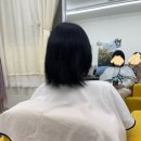 아니마레