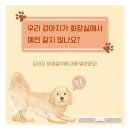 청평동물병원 이미지