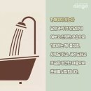 아그네스 이미지