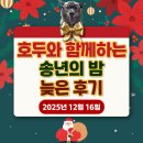 대일광고기획 - 북구 | [후기] 호두와 함께하는 2025년 송년의 밤(12월 사랑방 송년회)
