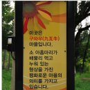7월 23일(일) 태백 매봉산 ..바람의 언덕 해바라기 꽃 축제.힐링 트래킹.♡40,000원.조중식(찰밥) 이미지