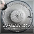 두잇디자인연구소 | 강아지 정수기 두잇 워터팟 고양이 정수기 추천