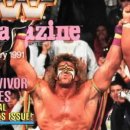 [투표] WWE 레슬매니아가 뽑는 1991년 최고의 선수는? 이미지