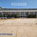 광영고등학교 티스토리