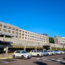 제주 더본호텔 디럭스 트리플룸 탐모라 조식 포함 예약 숙박 후기