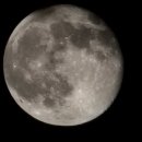 노을지는갯마을 | 솔라고CC 근처 맛집 태안 명량 노을지는 갯마을 픽업샌딩 가능⭐️게국지 꽃게탕 삼겹살까지 포식한 후기