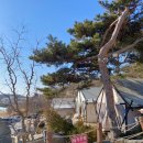 오크힐글램핑 | 강화도 오크힐 글램핑 서울근교 캠핑 글램핑장
