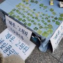 목포ಇ광주ಇ익산ಇ 전문 홍길동의 7월 일상 ꒰໓ ♡⃛ ໕꒱ - 맛도리 포테킹에 대한 고찰... -