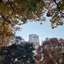 삼성아파트 앞 이미지