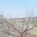 순성농장 이미지