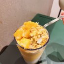 이디야IBK | 이디야 신상 컵빙수 메뉴추천 2가지맛 먹어본 찐후기(팥절빙, 망코빙, 두초빙)
