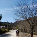 효석문학100리길 제4구간 이미지