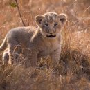 Onair PC CAFE 이미지