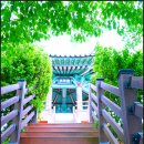 정자낚시터 이미지