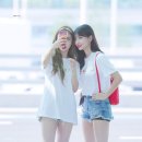 모모 이미지