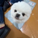 해피몽 | 광주 충장로 해피몽 후기/충장로 이런이궈 후기