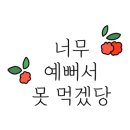 완미족발영암 이미지