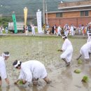 능주 들소리 이미지
