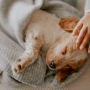 소통보청기 이미지