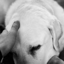 중용 행정사사무소 이미지