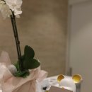 썸국제결혼 | 결혼정보회사순위 높은 이유를 알 수 있는~