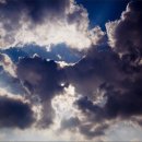 그해여름 이미지