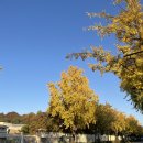 유럽의 시간을 걷다 | [삼청동 카페] 포스톤즈 삼청점 — 서촌 단풍길 따라 걷다 들른 통창뷰 카페 내돈내산 후기