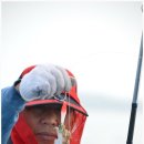 백사장항(대하) 이미지