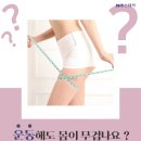 JS케어 이미지