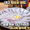대구 회뜨는 방법 회로 먹는 대구 사이즈 대구회 솔직후기